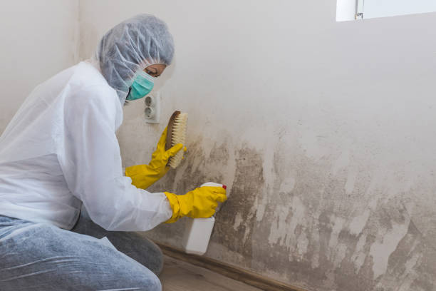 Best Crawl Space Mold Removal  in Doolittle, TX