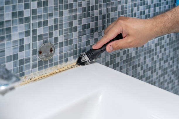 Professional Mold Removal in Doolittle, TX