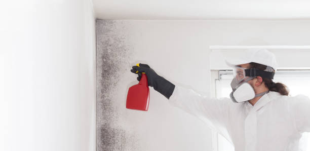 Best Office Mold Removal Services  in Doolittle, TX