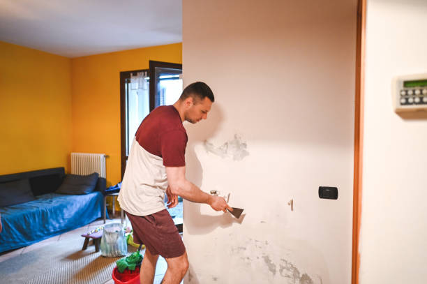 Best Certified Mold Removal  in Doolittle, TX