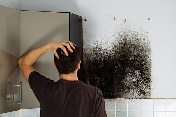 Best Emergency Mold Removal  in Doolittle, TX